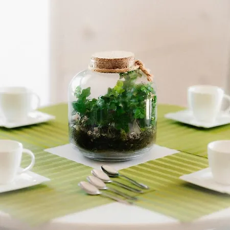 Sosnowe Tarasy Apartament Mielno (Koszalin)