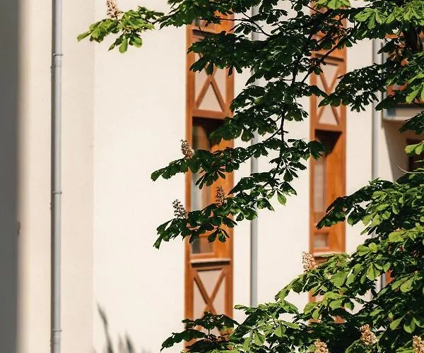 Sosnowe Tarasy 아파트 미엘노