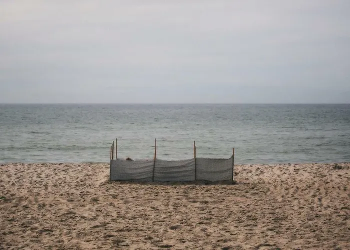 Sosnowe Tarasy 아파트 *